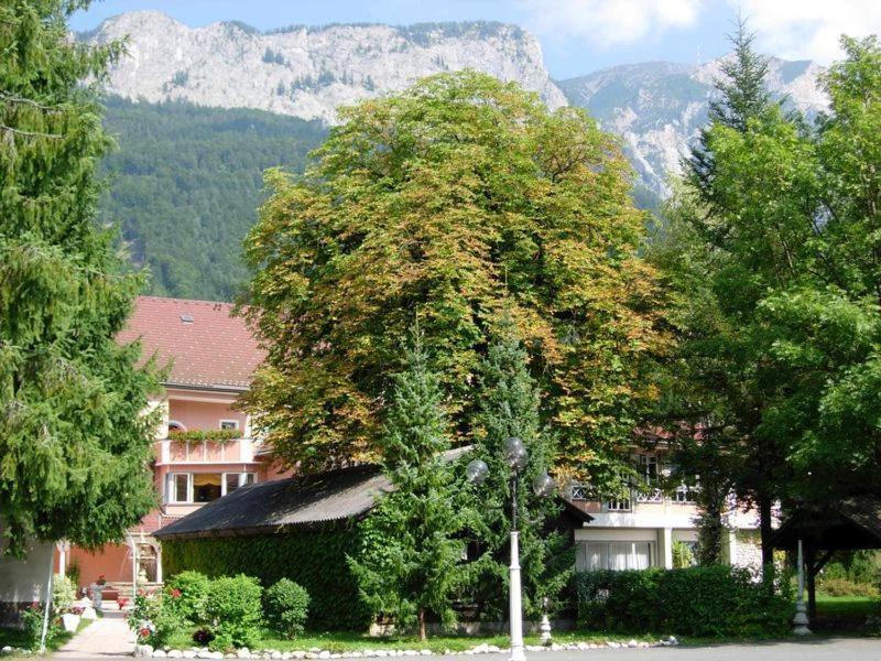 Hotel Marko Nötsch Zewnętrze zdjęcie